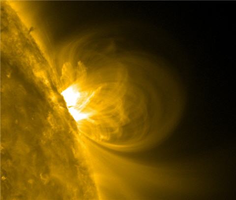 Plasma and Field Lines of Active Sunspot Region 1081 at 0630 UTC on 20100615 at 171 Angstroms