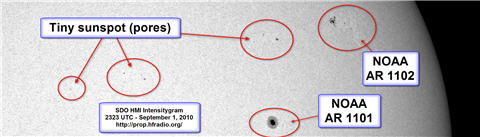 The SDO HMI Intensitygram view at 2323 UTC on Sept. 1 2010 of the two official sunspot regions, plus several tiny sunspots that have emerged